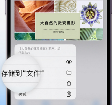 新吴apple维修中心分享iPhone文件应用中存储和找到下载文件