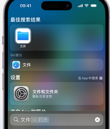 新吴apple维修中心分享iPhone文件应用中存储和找到下载文件 