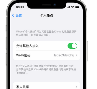 新吴apple服务站点分享iPhone上个人热点丢失了怎么办 