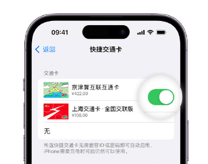 新吴apple维修点分享iPhone上更换Apple Pay快捷交通卡手绘卡面 