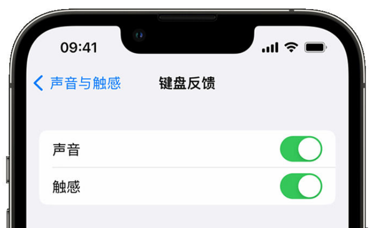 新吴苹果手机维修分享iPhone 14触感键盘使用方法 