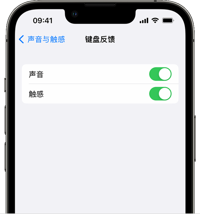 新吴苹果14维修店分享如何在 iPhone 14 机型中使用触感键盘 