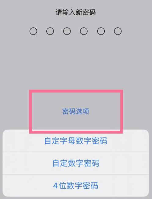 新吴苹果14维修分享iPhone 14plus设置密码的方法 