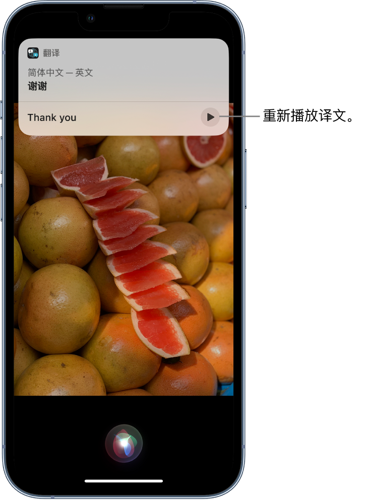 新吴苹果14维修分享 iPhone 14 机型中使用 Siri：了解 Siri 能帮你做什么 