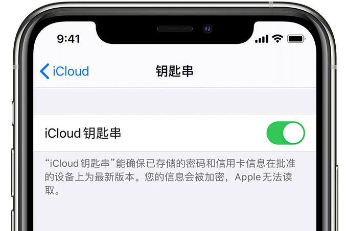 新吴苹果手机维修分享在 iPhone 上开启 iCloud 钥匙串之后会储存哪些信息 