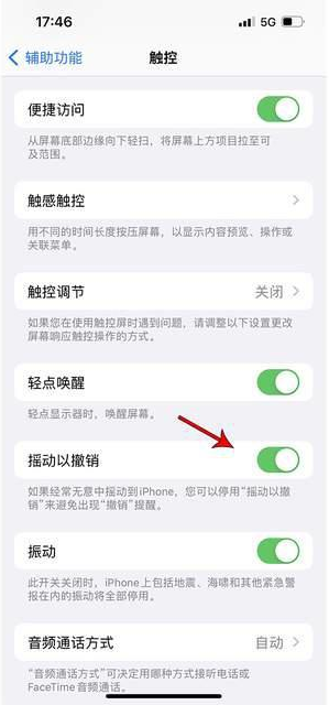 新吴苹果手机维修分享iPhone手机如何设置摇一摇删除文字 